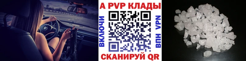 A PVP СК  Приморск 